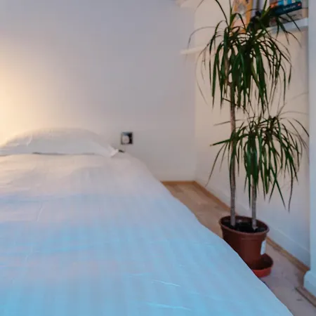 Calm Cosy House With Beautiful Riverside Walk To Centre Holiday home York